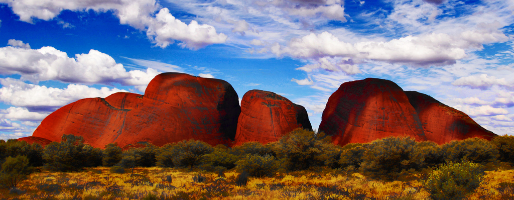 6005020308_f18a7fae30_b